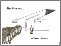 The Illusion Of Free Choice