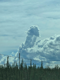 The James Webb telescope might have some cool images but here is a penis cloud