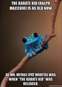 The Karate Kid Small Fact Frog