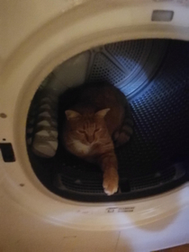 The Keeper of the washing machine