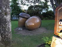 The Largest Pair of Nuts Oak Bay City Hall Oak Bay Victoria British Columbia