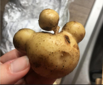 The Legendary Reddit Potato