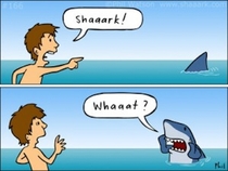 The life of a shark