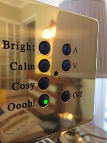 The light options for a  star hotel in London They do it with class