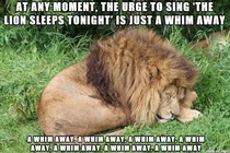 The Lion sleeps tonight