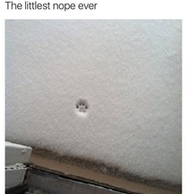 The littlest nope ever
