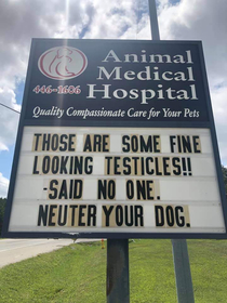 The local animal hospital has no chill