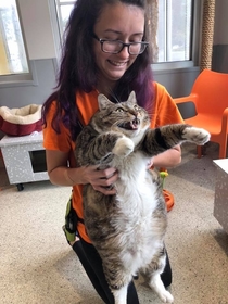 The local Humane Society posted this picture of a big boy that is for adoption