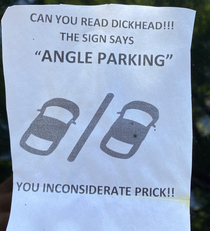 The locals taking parking educate into their own hands