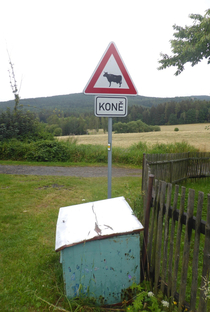 The lower sign says horses