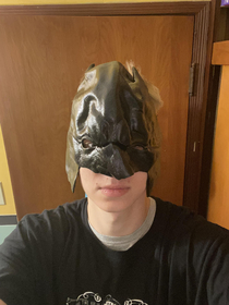 The mask that came with my friends Batman costume