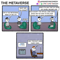 The Metaverse