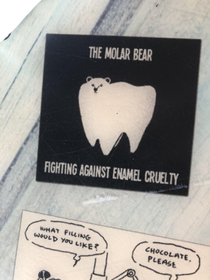 The Molar Bear