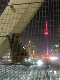 The most Toronto photo