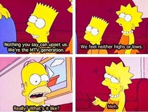 The MTV generation