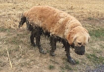 The mud was a little deep