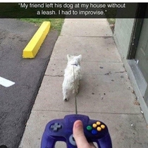 The new Nintendogs game looks really good