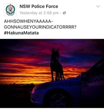 The New South Wales police Facebook page is a gift