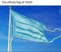 The official flag of 