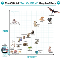 The Official Fun Vs Effort Graph of Pets x-post from rpets