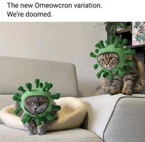 The Omeowcron Variant