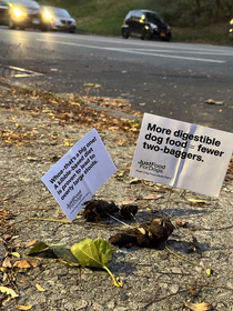 The only thing weirder than poopvertising is that someone is walking around NYC looking for dog poop and sticking flags in it