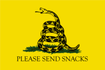 The Oregon Militiamen unveiled their new flag today