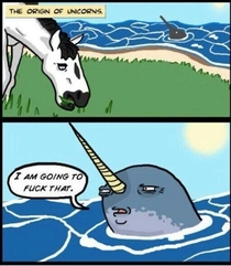 The origin of unicorns