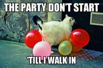 The party dont start