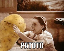 The patato potato paTOTO
