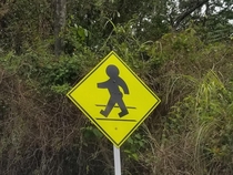 The pedestrian crossing signs in Panama have butts