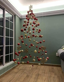 The perfect Christmas tree