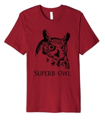 The perfect shirt to wear to a Superbowl party