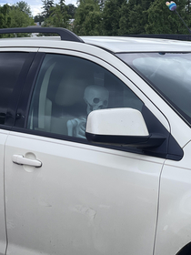 The person parked across from me deadass had a skeleton in the passenger seat Its nowhere near halloween
