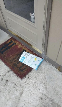 The picture that the Amazon delivery person took to confirm our package was delivered