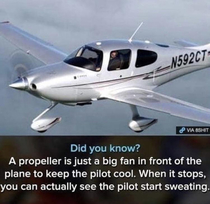 The pilots cant fly when its too warm