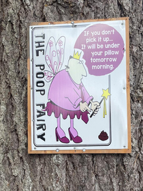 the poop fairy