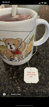 The poor teddy bear looks SO stressed theyre even sweating and my tea bag is telling it to chilllll out