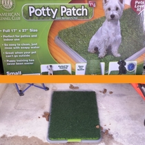 The Potty Patch Pets Love It