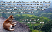 The power of bark