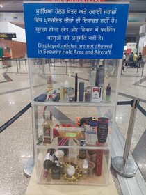 The prohibited items list at Chandigarh Airport India has a snake in it too