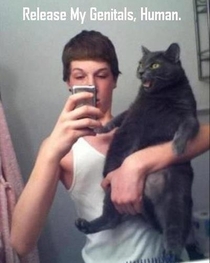 The proper way to hold your cat