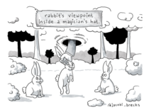 The Rabbits Point of View 