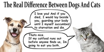 The real difference between Dogs and Cats