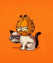 The real Grumpy Cat