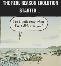 The real reason evolution started