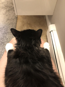 The real reason I am in the bathroom for  minutes