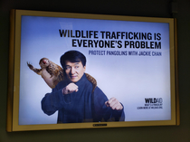 The real reason Jackie Chan travels all over the world Hes been caught and is now doing community service publishing these posters