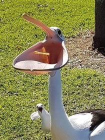 The Rock stealing a fry from Kevin Hart