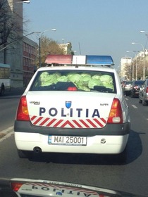 The Romanian Police is working hard atmaking cabbage rolls